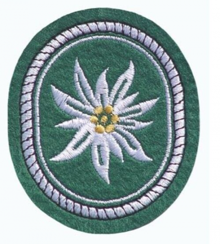 Abzeichen Edelweiß Verbandabzeichen Aufnäher Patch Bundeswehr Neu